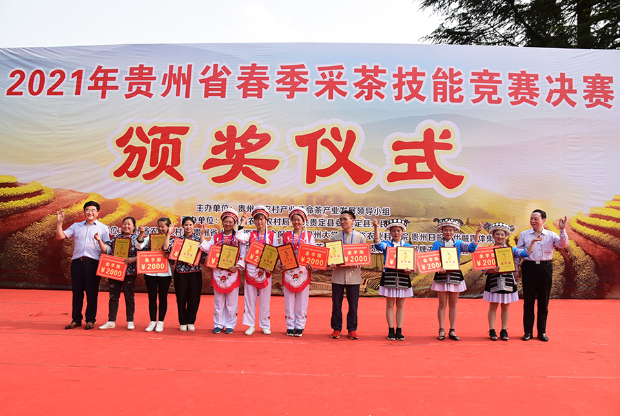 双手采茶好 指尖大比拼！2021年贵州省春季采茶技能竞赛决赛在贵定举行