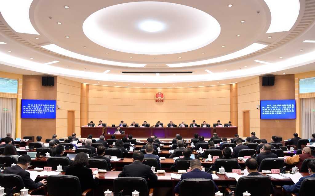 省十三届人大常委会第三十一次会议举行第二次全体会议