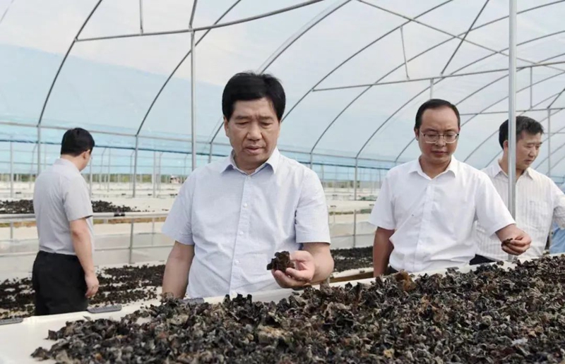 王忠赴六枝特区开展蹲点调研