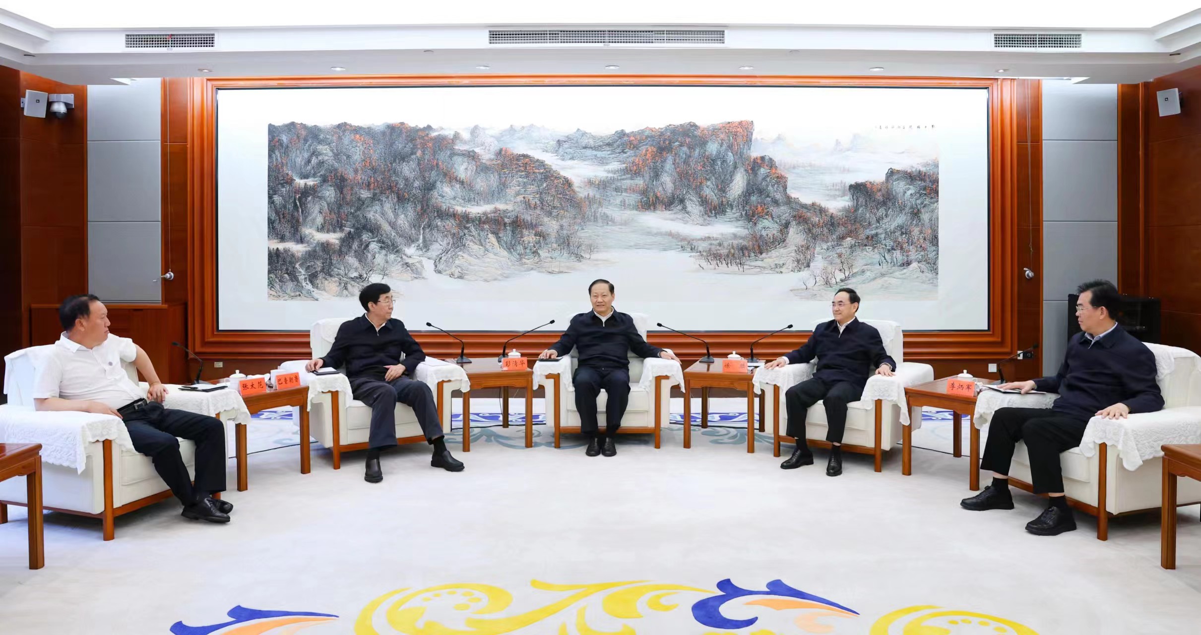 徐麟李炳军拜会全国人大常委会副委员长彭清华