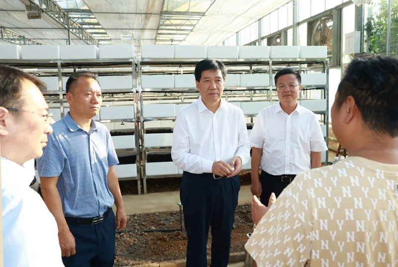 王忠赴铜仁市开展乡村振兴“一法一条例”执法检查