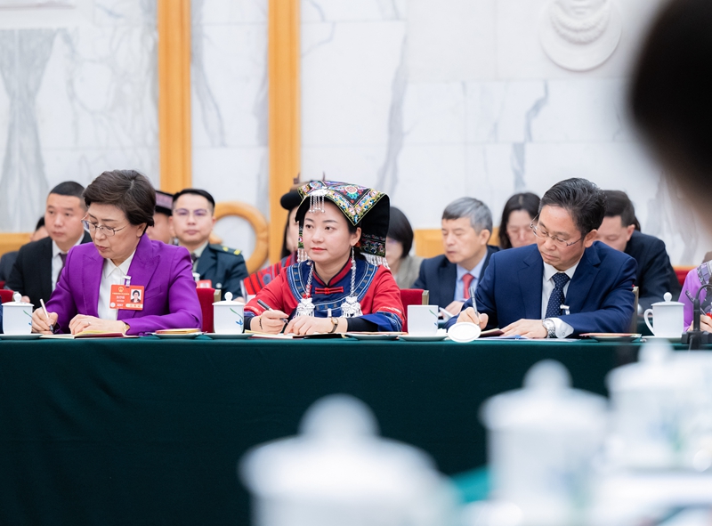 两会丨各代表团审议政府工作报告
