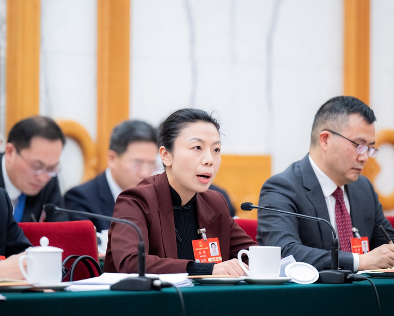 两会丨各代表团审议政府工作报告