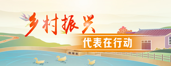 乡村振兴代表在行动