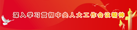 深入学习贯彻中央人大工作会议精神
