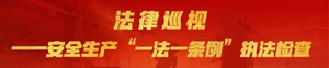 法律巡视--安全生产“一法一条例”执法检查