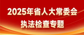 2025年省人大常委会执法检查专题