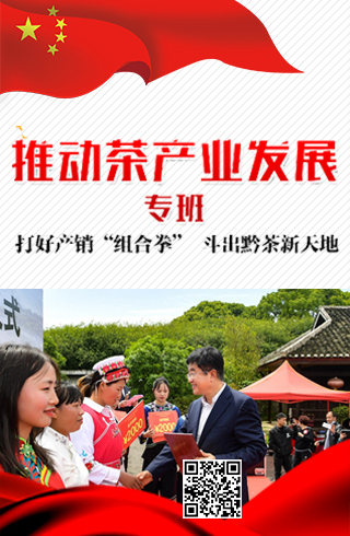 推动茶产业发展专班： 打好产销“组合拳” 斗出黔茶新天地