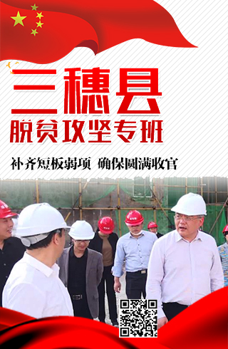 三穗县脱贫攻坚专班：补齐短板弱项 确保圆满收官