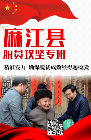 麻江县脱贫攻坚专班：精准发力确保脱贫成效经得起检验