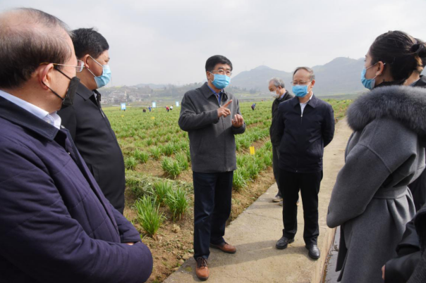 慕德贵赴普定县调研茶产业及疫情防控情况