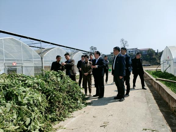 推进全过程人民民主立法——省人大朱新武一行赴黄平县开展立法调研