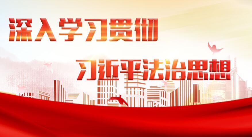 深刻认识习近平法治思想的重大意义（深入学习贯彻习近平新时代中国特色社会主义思想）