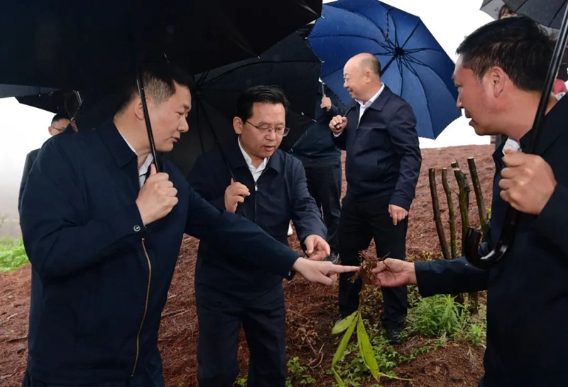 李豫贵率队赴六盘水市开展中医药“一法一条例”执法检查