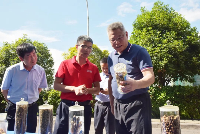 王世杰赴黔东南州开展中医药“一法一条例”执法检查