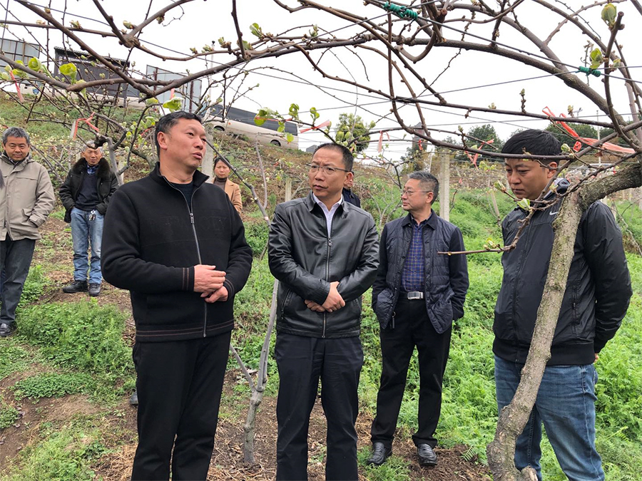 服务有温度 监督显力度！助力乡村振兴，六盘水市人大常委会在行动