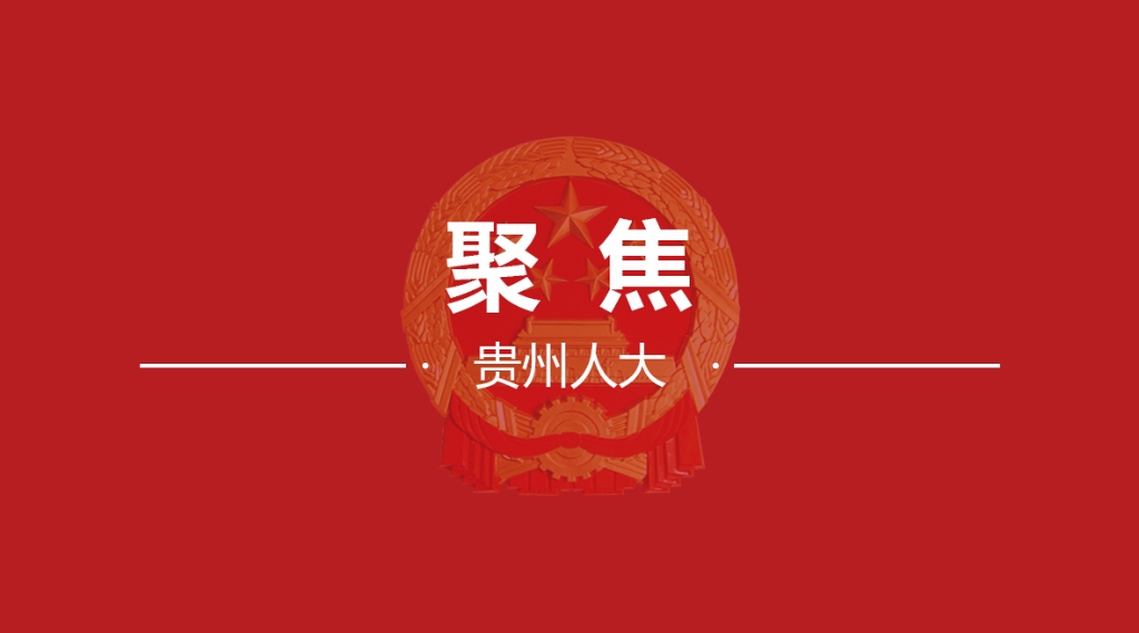 乡村振兴 代表在行动 ——致全省各级人大代表的倡议书