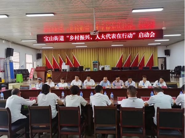 贵定县宝山街道人大工委召开“乡村振兴，代表在行动”启动会