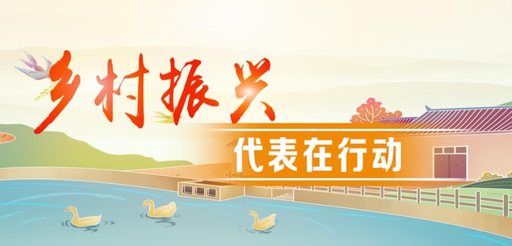 金沙县人大学习贯彻中央人大工作会议精神以及全省“乡村振兴，代表在行动”主题活动现场会会议精神