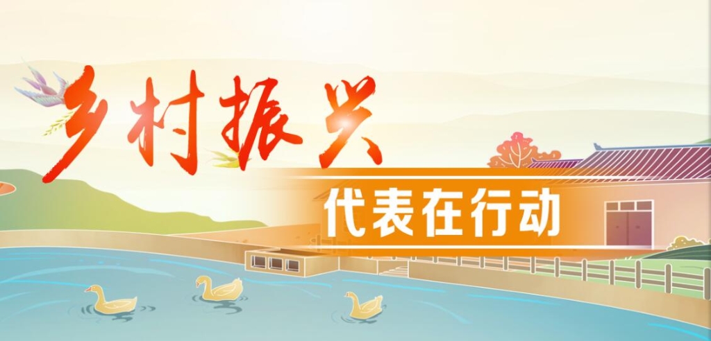 乡村振兴，代表在行动 | 毕节市金沙县人大常委会：构建“433